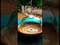 Popular youtubeshorts youtube tiktok beautiful water focus viral usa america germany