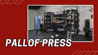 Pallof Press | Cable Machine Exercise