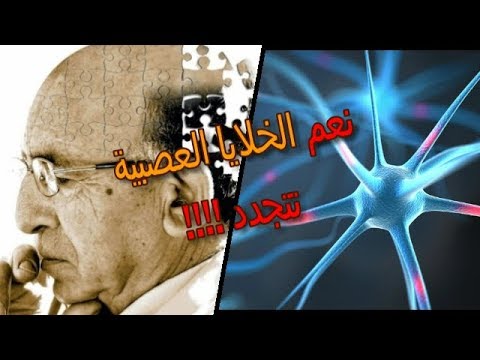 فيديو: تتجدد الخلايا العصبية