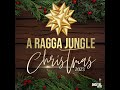 1 Hour of Ragga Jungle Christmas Remixes DJ MIX