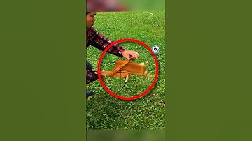 NỎ LIÊN HOÀN CỦA GIA CÁT LƯỢNG | 😨 (Bạn Biết Không) #facts #amanzingfacts #thaukinhtrithuc