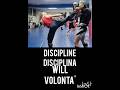 the way of Martialarts #martialarts#mma#kickboxing#mmafighter#ufc#motivation#wingchun#jkd#muaythai
