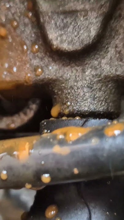 ford focus st225 core plug leaking - YouTube