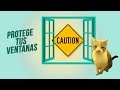 ¿Redes, mallas, ventanas abatibles...? 🏠🐾😼| ¿Qué es mejor que tu gato no se caiga por la ventana?