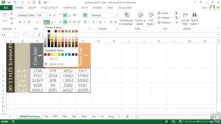 0901 Enhancing Worksheets Using Themes