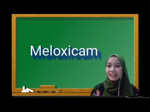 Obat Meloxicam?! Pembahasan Full Bahasa Indonesia