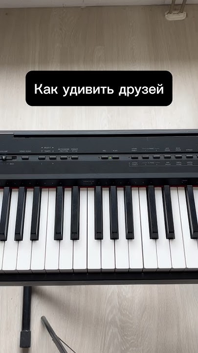Хочешь научиться играть на #фортепиано БЕСПЛАТНО? Смотри уроки по ...