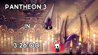 Hollow Knight - Pantheon 3 in 3:26:00 (New World Record)