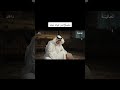 مصلح بن عياد الشلوي | ثمانية مصلح بن عياد الشلوي | ثمانية