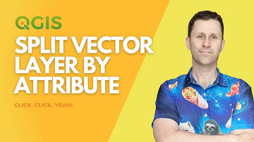 Split vector layer by field in QGIS