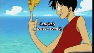 FloyyMenor - Gata Only (slowed   reverb) 1 Hour