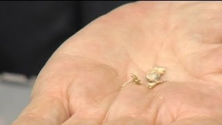 Romanya'da altına hücum