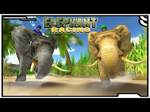 Elephant Racing - Race Game in Places like Nepal, Belmar, Kerala india, Vietnam China