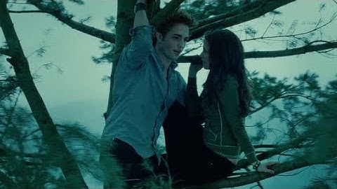 Flightless Bird, American Mouth | Twilight