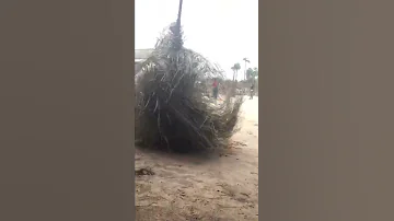 طقوس سحر الفودو 