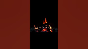 محمد وليد الشرعبي آيات من سورة إبراهيم #القرآن_الكريم #quran #قرآن#fyp