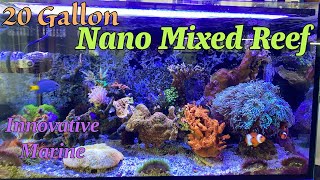 Nano Mixed Reef Tank (IM) by Aquarium Service Tech 2,102 views 2 weeks ago 13 minutes, 35 seconds