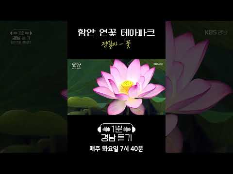 1분 경남듣기 세로버전 : 정밀아 - 꽃