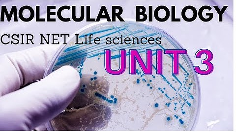 CSIR NET life science molecular biology