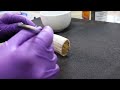 Conservation of a walrus tusk