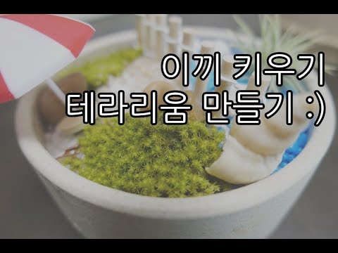 배앓이분유 추천