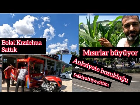 Video: Hoekom veroorsaak skoffel hartaanvalle?