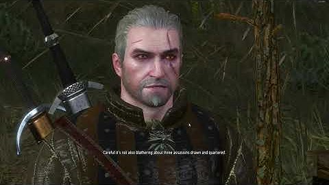The Witcher 3 || A deadly plot (Part 2)