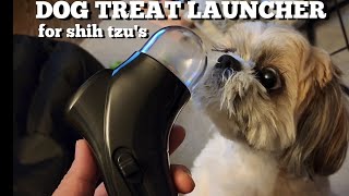 Fun Way to Feed treats to your Shih Tzu by Mikki Shih Tzu 2,878 views 1 year ago 2 minutes, 33 seconds