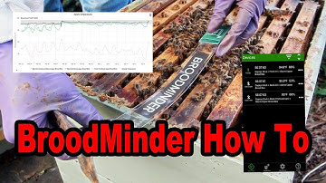 How to Setup and Use Broodminder