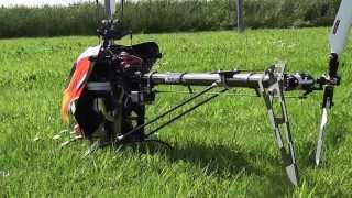 Mein T REX 600 ESP, Flybarlessumbau, im Sommer 2010