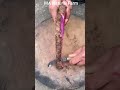 Village Agriculture Life  #rurallife #cuttingskills #satisfying #food #agriculture #farming #viral