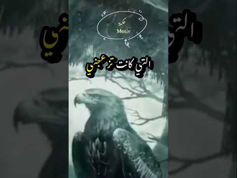  اقوال اقوالوحكم دروس كلام من ذهب حكمة عبارات اقنباسات حكم حكمة الايام