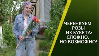 КАК ЧЕРЕНКОВАТЬ РОЗЫ ИЗ БУКЕТА ТАК, ЧТОБЫ ОНИ ТОЧНО ПРИЖИЛИСЬ!