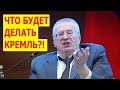 Жириновский раскрыл правду о фальсификации на ВЫБОРАХ!