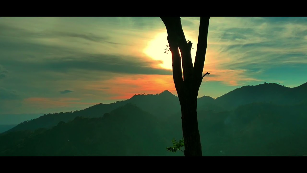 Oppo Reno 4 Cinematic Video Test