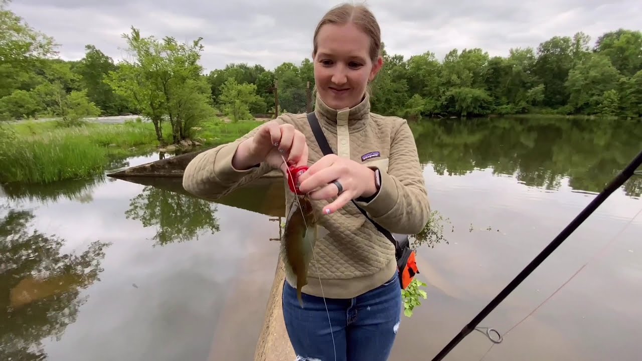 Fishing the Appomattox River in search of the BASS YouTube