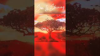 Stephen Marley Performs Bob's Sun Is Shining 🌞✨️ #stephenmarley #jamaicanmusic #reggae