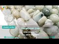 Facebook Live: Jade Live Remix