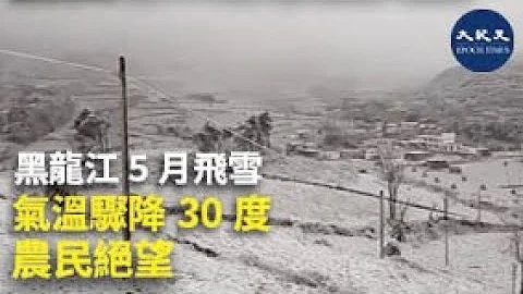 黑龍江5月飛雪氣溫驟降30度農民絕望 | #香港大紀元新唐人聯合新聞頻道 - 天天要聞