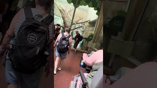 Fun at the Zoo Part 4