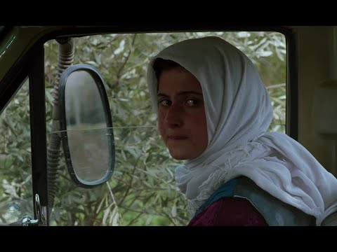 Through the Olive Trees