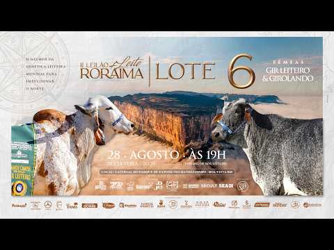 LOTE 6 FSPG 371