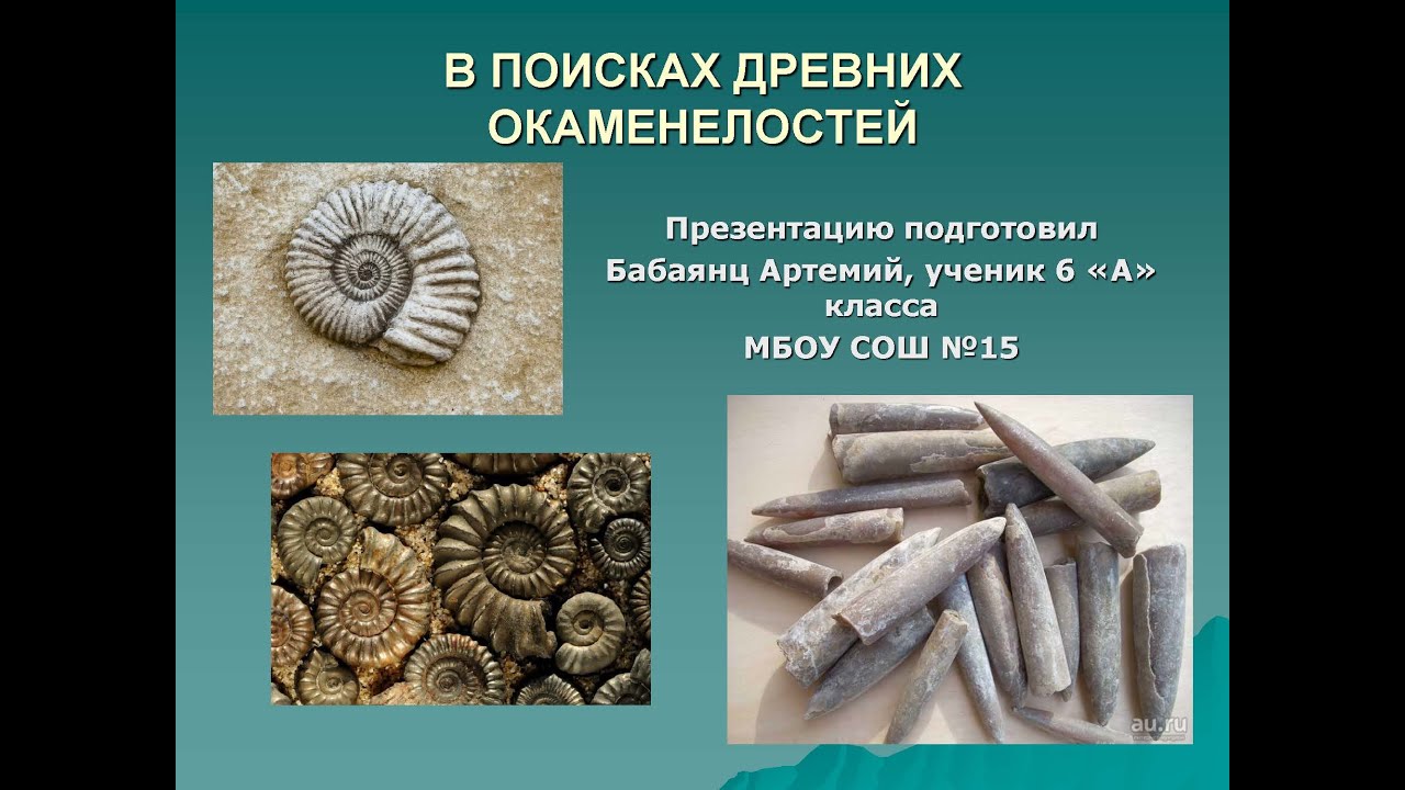 Окаменелости на волге