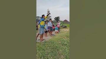 Lomba Jagungan Merpati Balap