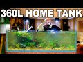 Building A Home Community Aquarium (EP4)