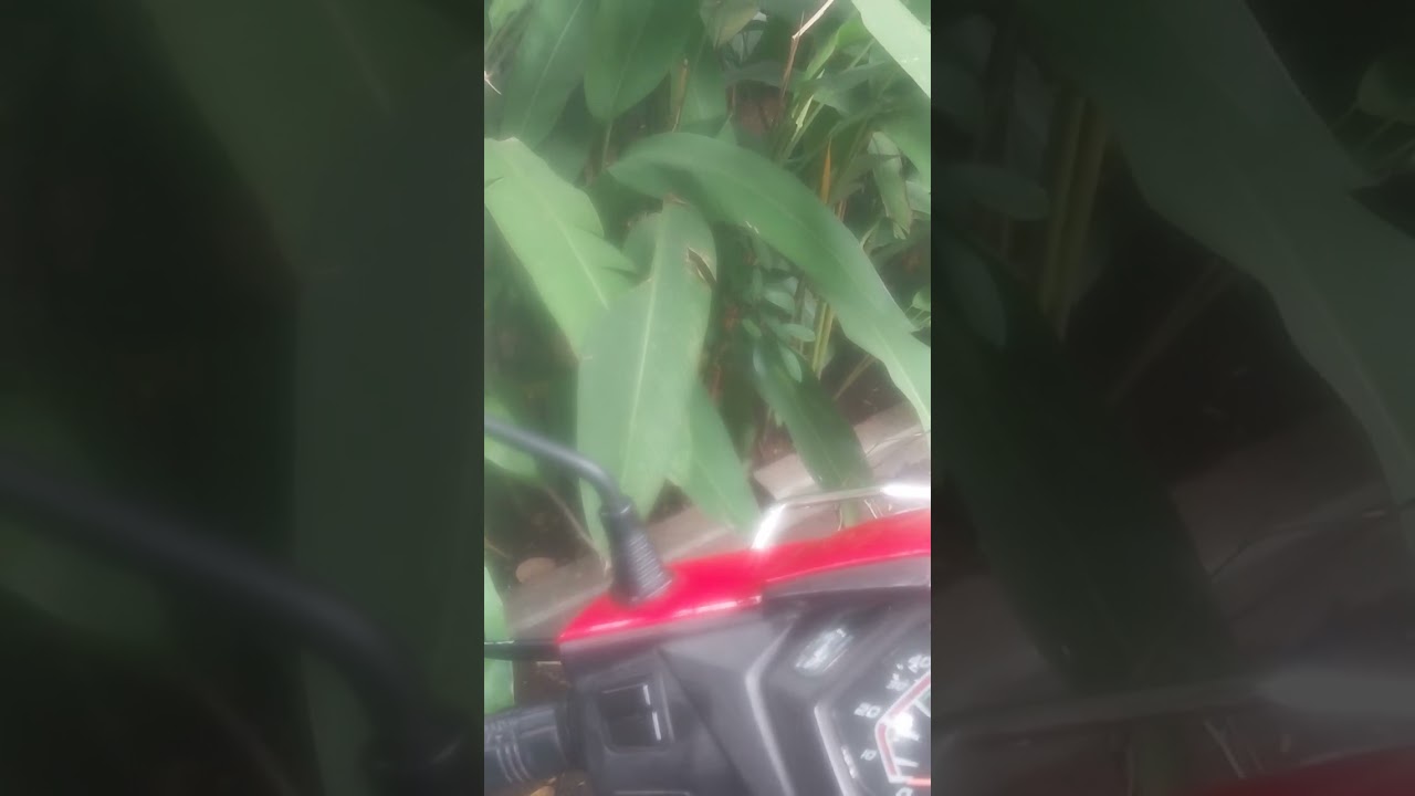 come let usdo together realestate business mother earth gift