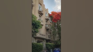 {فَلَمَّا نَسُوا مَا ذُكِّرُوا بِهِ}. ||سورة الأنعام||محمود علي البنا💚🌴||