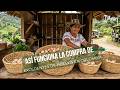 Así funciona la compra de excedentes de huevos en Colombia - TvAgro por Juan Gonzalo Angel