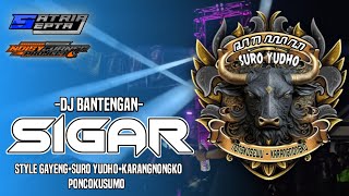 DJ BANTENGAN🔥‼️SURO YUDHO (SIGAR) - Karangnongko-Poncokusumo