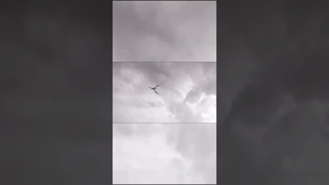 penampakan naga yg terekam kamera